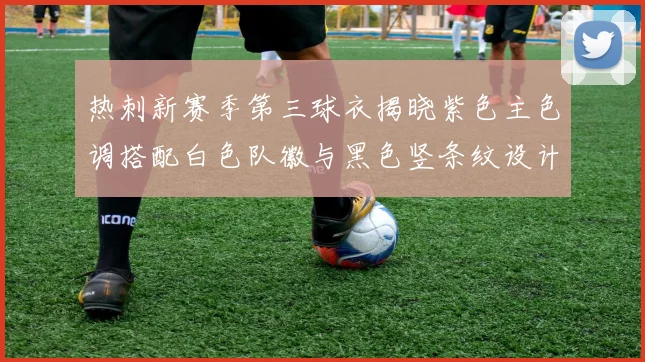 热刺新赛季第三球衣揭晓紫色主色调搭配白色队徽与黑色竖条纹设计