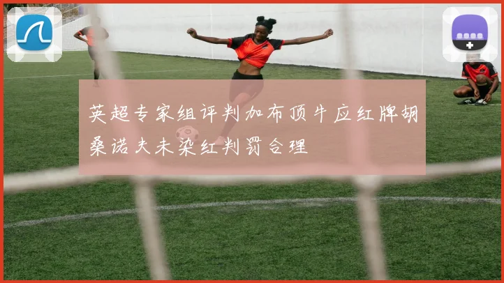 英超专家组评判加布顶牛应红牌胡桑诺夫未染红判罚合理