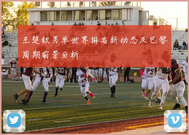 王楚钦男单世界排名新动态及巴黎周期前景分析